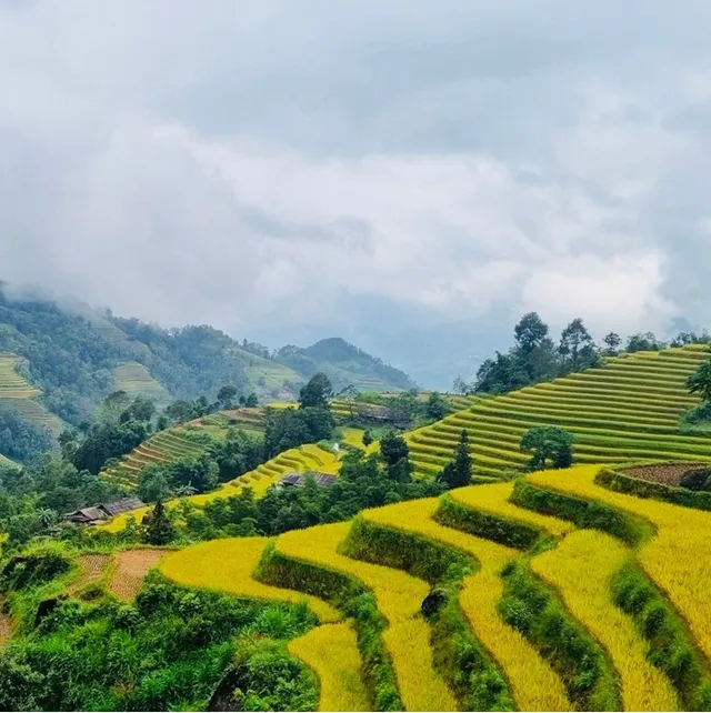 Riz dOr Ermitage: Ốc đảo thiên nhiên hoang sơ quyến rũ của vùng đất Hoàng Su Phì - Ảnh 3.