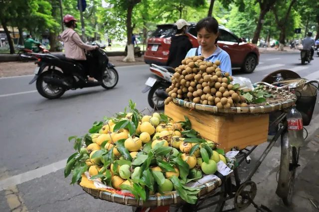 “Thị cô Tấm” có giá đắt đỏ nhưng vẫn được nhiều người dân Hà thành săn lùng tìm mua - Ảnh 2.