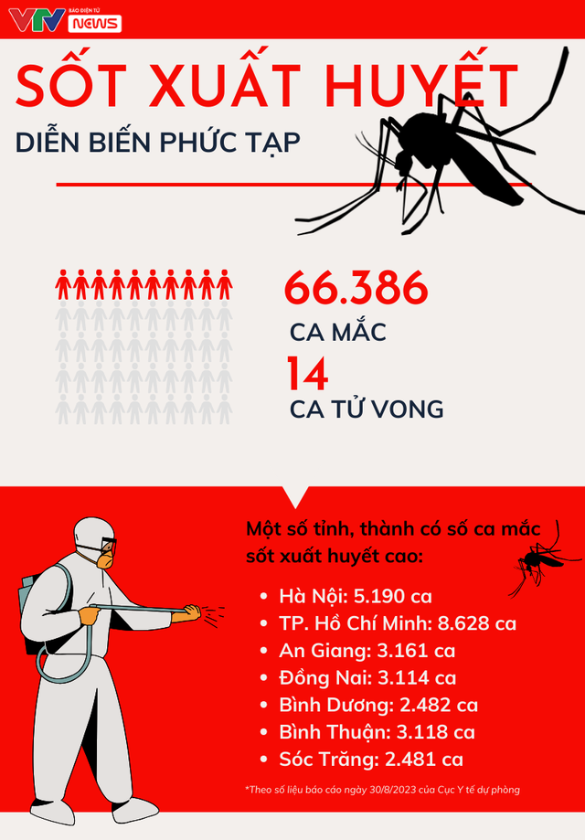 Sốt xuất huyết diễn biến phức tạp - Vì sao khó dập dịch? - Ảnh 1.