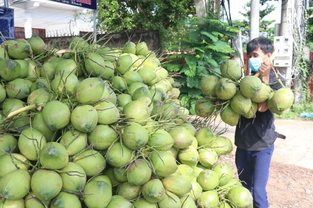 Xuất khẩu dừa hướng tới mốc 1 tỷ USD - Ảnh 1.