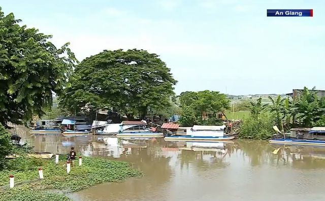 Kiểm soát nguồn nước vùng rốn lũ An Giang - Ảnh 2.