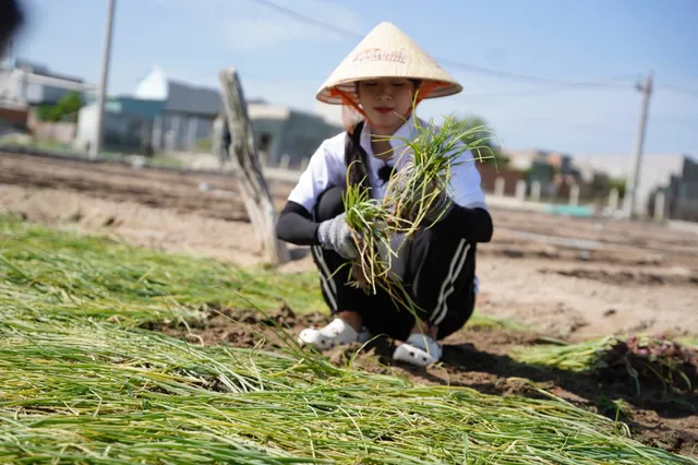 Huy Khánh - Diệp Bảo Ngọc làm tình nguyện viên ở Vườn quốc gia - Ảnh 7.