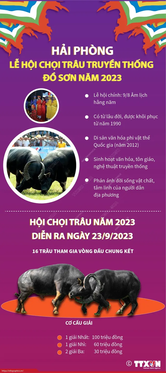 Hôm nay (23/9), bắt đầu thi đấu chọi trâu tại Lễ hội chọi trâu Đồ Sơn 2023 - Ảnh 1.