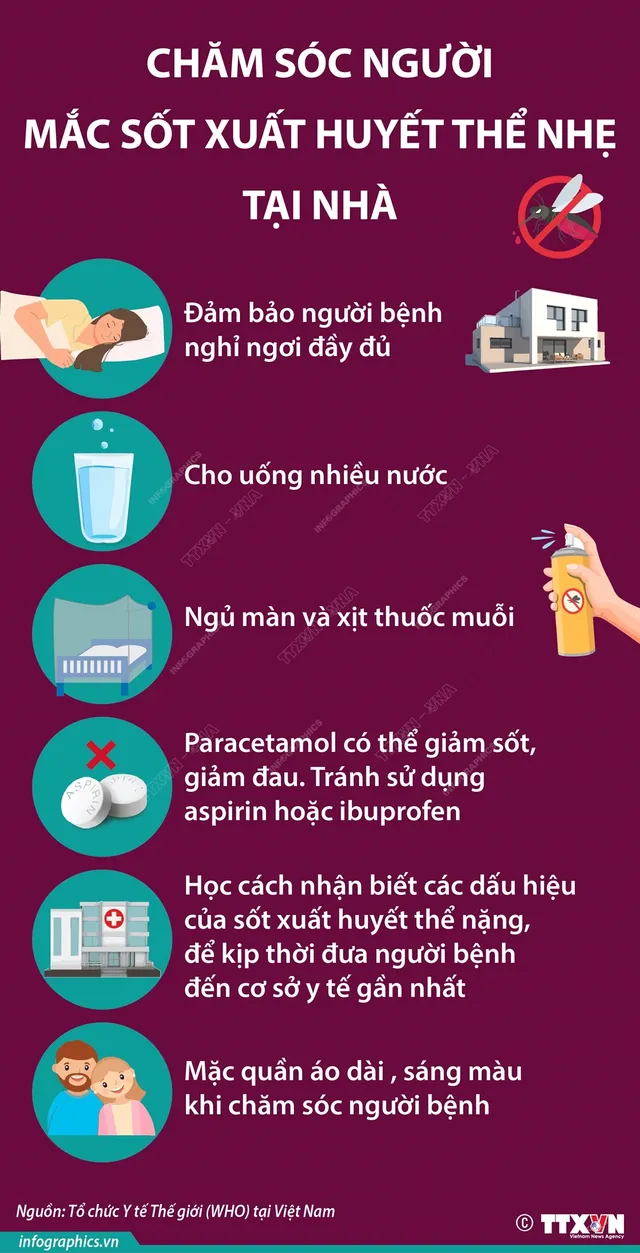 Cách phòng chống muỗi đốt, sốt xuất huyết hiệu quả - Ảnh 4.