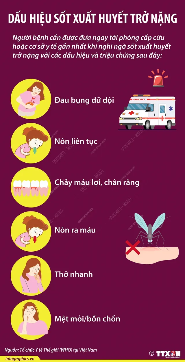 Cách phòng chống muỗi đốt, sốt xuất huyết hiệu quả - Ảnh 5.