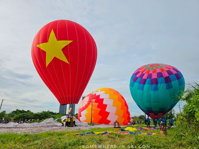 TP Hồ Chí Minh rực rỡ pháo hoa chào mừng Quốc khánh 2/9 - Ảnh 14.