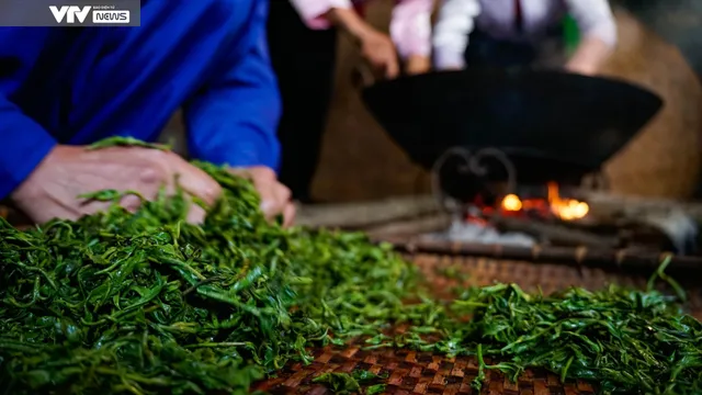 Cận cảnh quy trình sản xuất thủ công chè xanh Đinh Bát Tiên đặc sản Long Cốc (Phú Thọ) - Ảnh 9. Cận cảnh quy trình sản xuất thủ công chè xanh Đinh Bát Tiên đặc sản Long Cốc (Phú Thọ) - Ảnh 9.