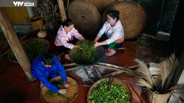 Cận cảnh quy trình sản xuất thủ công chè xanh Đinh Bát Tiên đặc sản Long Cốc (Phú Thọ) - Ảnh 6. Cận cảnh quy trình sản xuất thủ công chè xanh Đinh Bát Tiên đặc sản Long Cốc (Phú Thọ) - Ảnh 6.