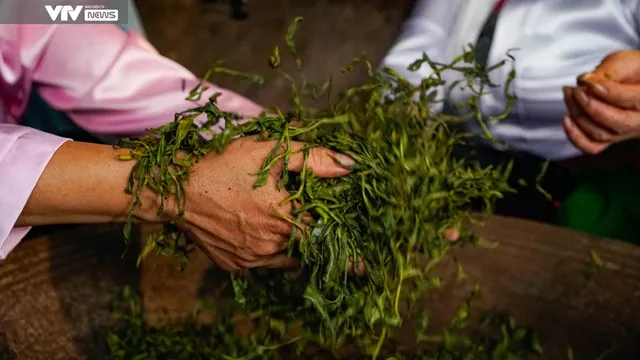 Cận cảnh quy trình sản xuất thủ công chè xanh Đinh Bát Tiên đặc sản Long Cốc (Phú Thọ) - Ảnh 8. Cận cảnh quy trình sản xuất thủ công chè xanh Đinh Bát Tiên đặc sản Long Cốc (Phú Thọ) - Ảnh 8.