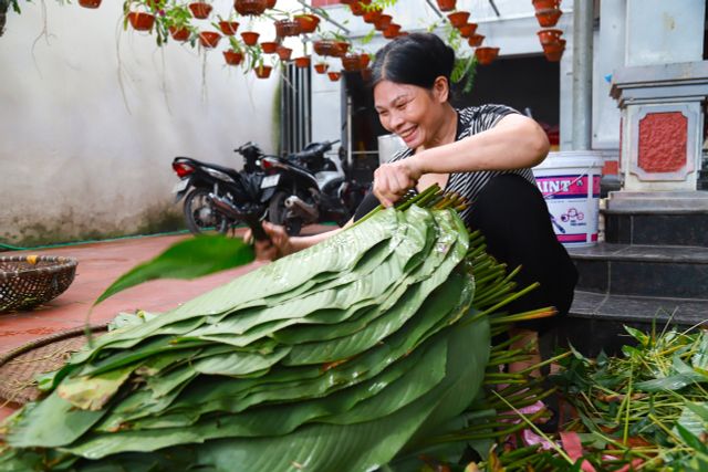 Hà Nội: Làng bánh chưng Tranh Khúc hối hả vào vụ Tết - Ảnh 1.