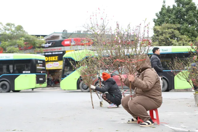 Tiểu thương bán cây cảnh Tết gồng mình trong giá rét - Ảnh 5.