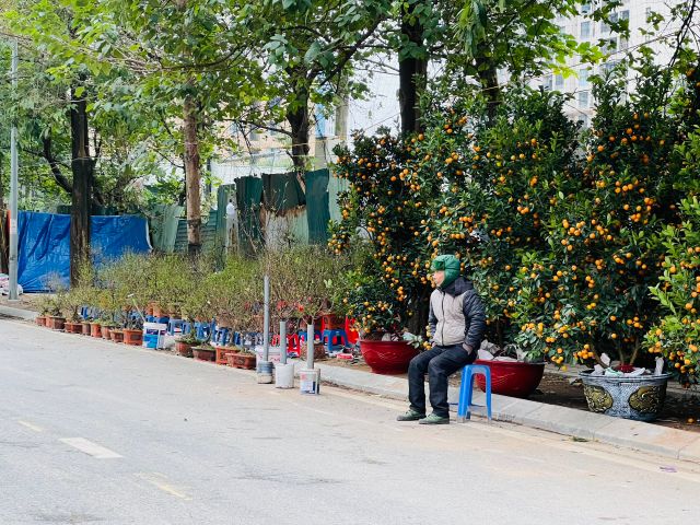 Tiểu thương bán cây cảnh Tết gồng mình trong giá rét - Ảnh 4.