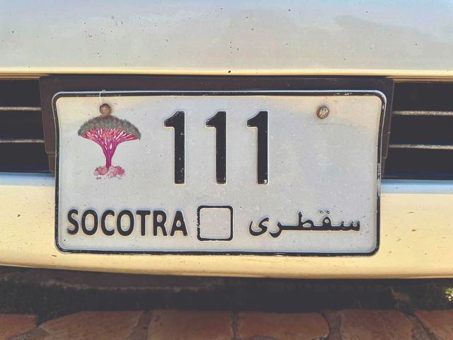 Socotra: Hòn đảo của những điều thú vị - Ảnh 6.