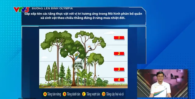 Nam sinh Quảng Trị gây ấn tượng vì… cười mỗi khi trả lời sai - Ảnh 4.