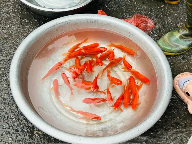 Hối hả phiên chợ ngày ông Công, ông Táo - Ảnh 2. Hối hả phiên chợ ngày ông Công, ông Táo - Ảnh 2.