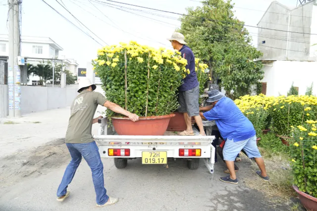 Bà Rịa - Vũng Tàu: Nhà vườn tất bật thu hoạch hoa bán Tết - Ảnh 3.