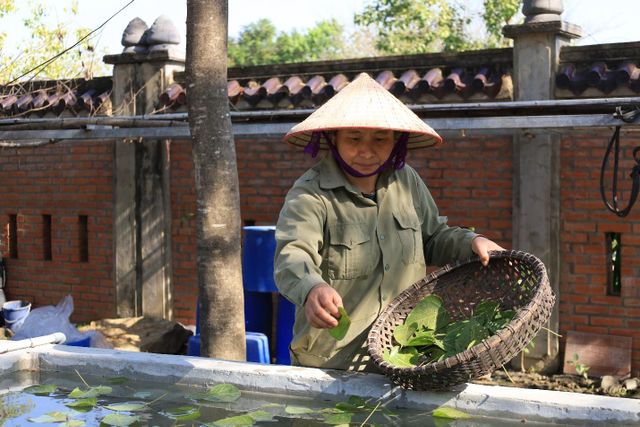 Độc đáo các sản phẩm từ tranh lá bồ đề - Ảnh 3.