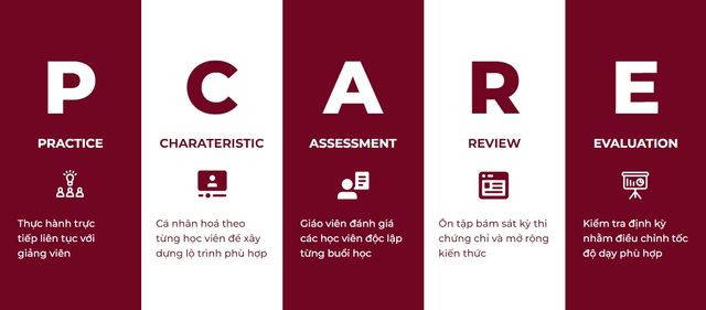 Patado Go - Trung tâm tư vấn và đào tạo du học nghề đức hot nhất hiện nay có gì chất lượng? - Ảnh 3.