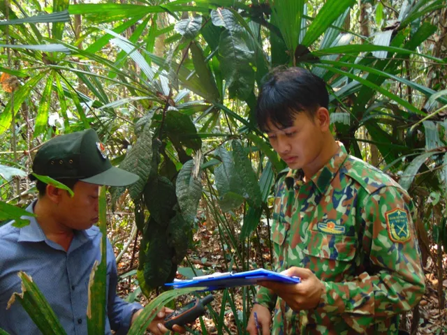 Chàng sinh viên người đồng bào miền núi được chắp cánh ước mơ từ ngày hội tuyển sinh - Ảnh 1.