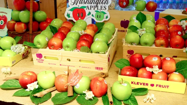 Symphony in White and Red - Ảnh 1.