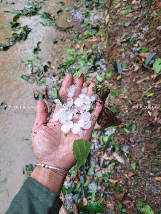 Nhiều nơi trên cả nước mưa dông đến đêm, cảnh báo nguy cơ cây đổ - Ảnh 3.