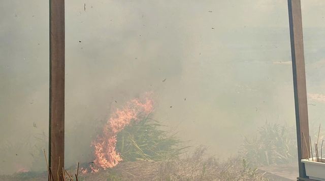 Bình Thuận: Cháy rừng trên đảo Phú Quý - Ảnh 1.