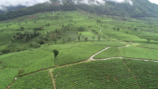 Hương săc Tân Uyên - Một điểm nhớ - Ảnh 3.