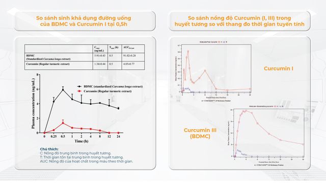 CURCUMIN BDMC50 - Công nghệ chiết xuất Curcumin đột phá từ Canada. - Ảnh 4.