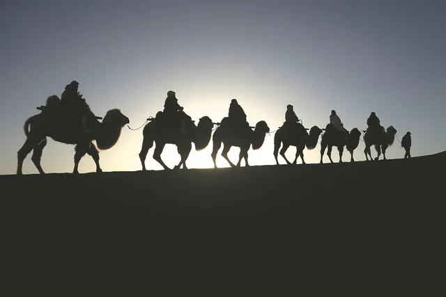 Đèn giao thông dành cho lạc đà giữa sa mạc Trung Quốc - Ảnh 1.