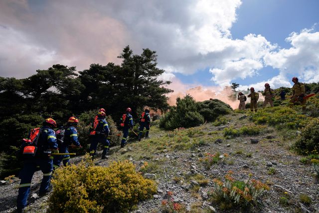 Hy Lạp chuẩn bị ứng phó mùa cháy rừng khốc liệt - Ảnh 1.