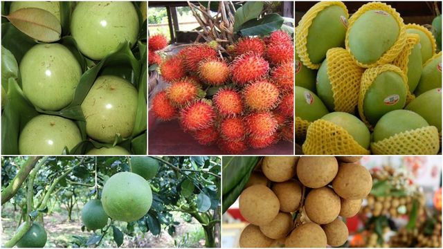 Các nước châu Á tăng nhập trái cây từ Việt Nam - Ảnh 1.