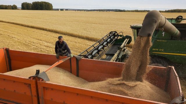 Bộ trưởng Nông nghiệp Nga: Moscow lập kỷ lục về lượng ngũ cốc xuất khẩu - Ảnh 1.