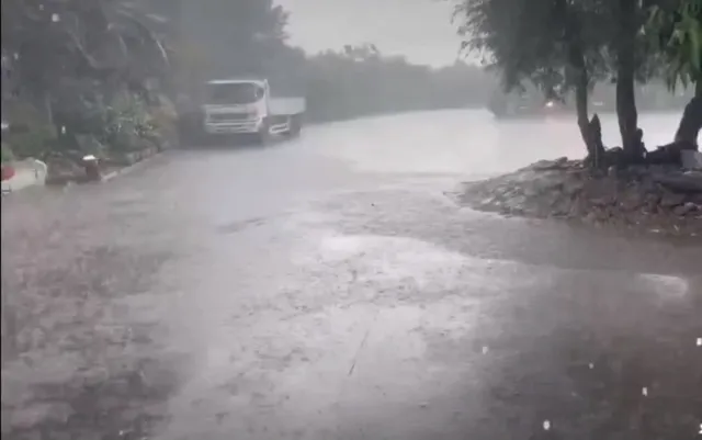 Cơn “mưa vàng” ở Bến Tre, Tiền Giang cứu sống hoa màu - Ảnh 1. Cơn “mưa vàng” ở Bến Tre, Tiền Giang cứu sống hoa màu - Ảnh 1.