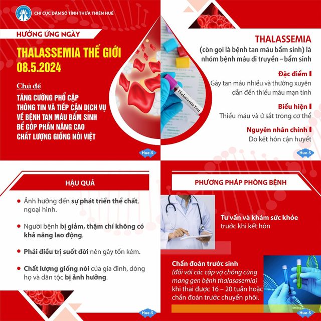 Việt Nam có hơn 10 triệu người mang gen bệnh tan máu bẩm sinh Thalassemia - Ảnh 1.