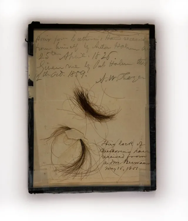 Các nhà khoa học tìm thấy lượng chì và nhiều chất độc khác trên tóc của Beethoven - Ảnh 1.
