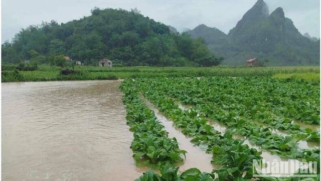 Mưa lớn kèm gió lốc gây nhiều thiệt hại tại Lạng Sơn - Ảnh 1.