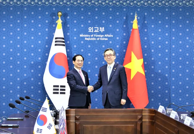 Chính phủ Hàn Quốc coi Việt Nam là đối tác trọng tâm trong chính sách đối ngoại - Ảnh 2.