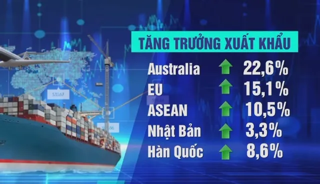 65% hàng hoá Việt Nam xuất khẩu sang các thị trường FTA - Ảnh 1.