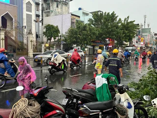 TP Hồ Chí Minh: Mưa đá, cây xanh ngã đổ, nhiều nơi ngập cục bộ - Ảnh 3.