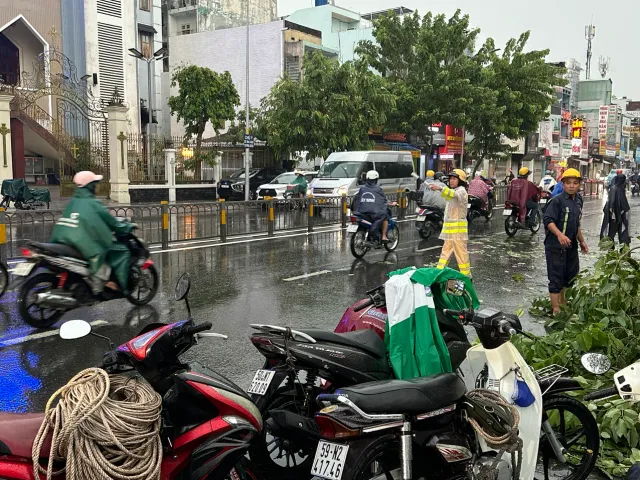 TP Hồ Chí Minh: Mưa đá, cây xanh ngã đổ, nhiều nơi ngập cục bộ - Ảnh 2.