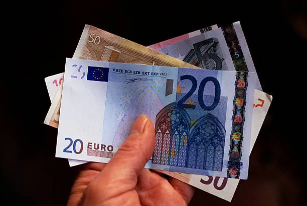 Vai trò tiền tệ dự trữ của đồng Euro giảm mạnh - Ảnh 1.