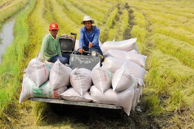 Thêm thuận lợi cho gạo Việt - Ảnh 1.