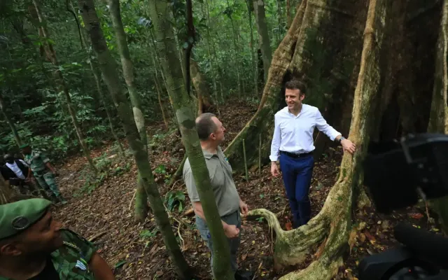 Pháp bảo tồn rừng để đổi lấy tín chỉ carbon - Ảnh 1.