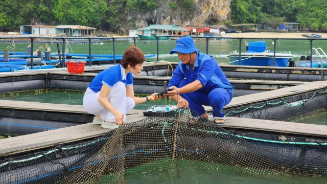 Quyết tâm gỡ thẻ vàng IUU trong năm 2024 - Ảnh 3.