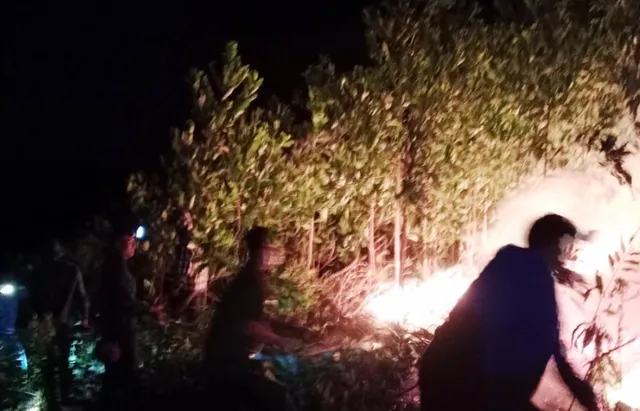 Hàng trăm người chữa cháy rừng trong đêm ở Hà Tĩnh - Ảnh 1.