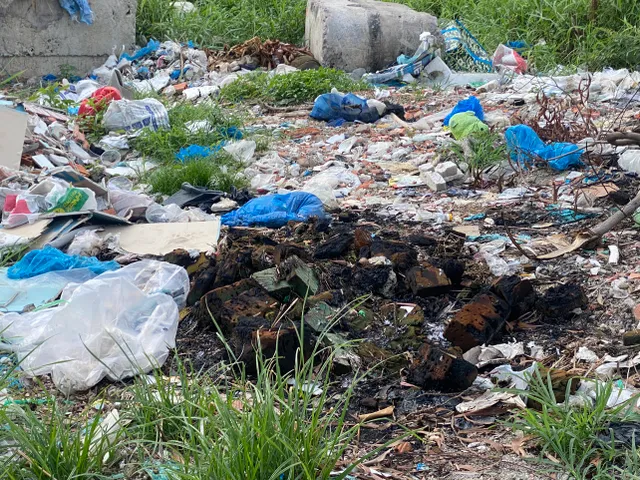 TP Hồ Chí Minh: Núi rác thải dưới chân cầu Trường Đai chất đống, gây ô nhiễm - Ảnh 2.