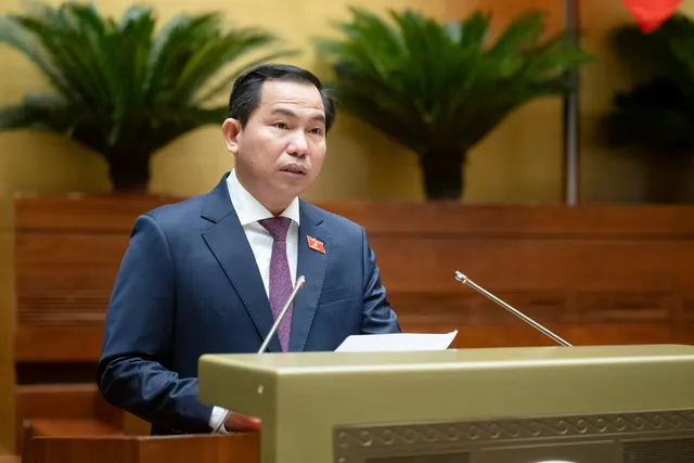 Quốc hội cho phép thành lập Khu thương mại tự do Đà Nẵng - Ảnh 2.