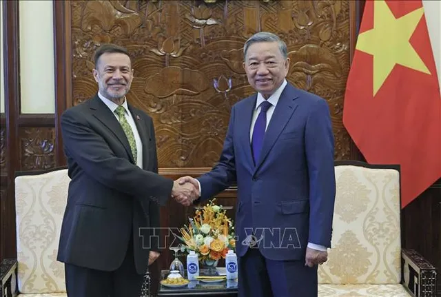 Chủ tịch nước Tô Lâm tiếp Đại sứ Australia tại Việt Nam - Ảnh 1.