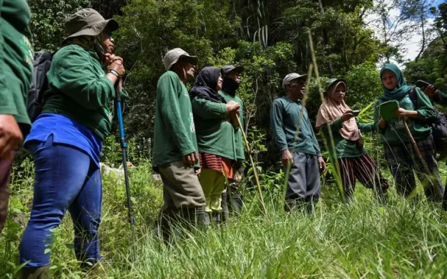 Những “nữ chiến binh” giữ rừng ở Indonesia - Ảnh 1.