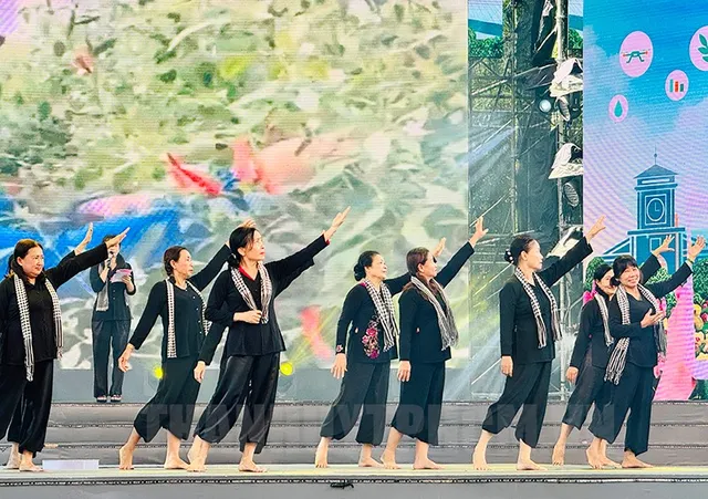 TP Hồ Chí Minh khai mạc Liên hoan văn nghệ quần chúng Tiếng hát nông thôn mới - Ảnh 3.